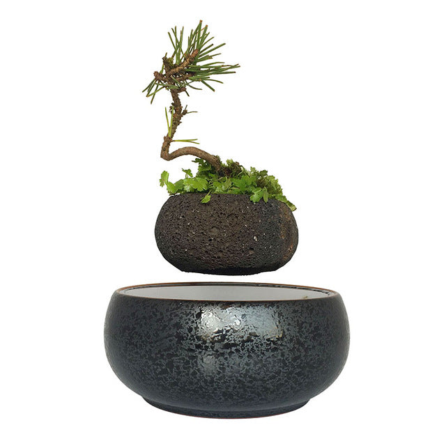 levitating pot plant Levitating Air-Floating Bonsai Pot – Stilyo Store