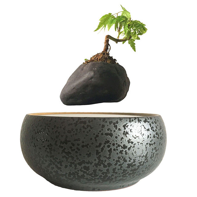 Levitating Air-Floating Bonsai Pot - stilyo