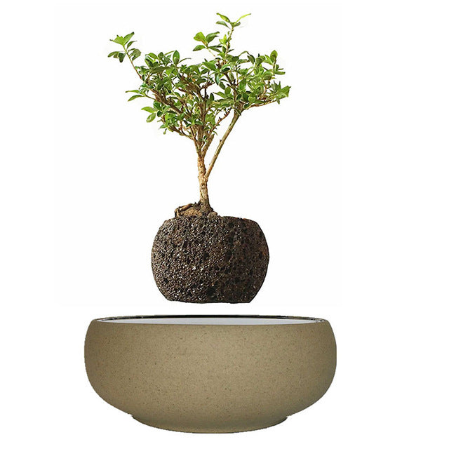 Levitating Air-Floating Bonsai Pot - stilyo