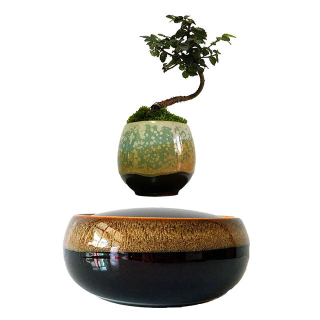 floating bonsai tree amazon Levitating Air-Floating Bonsai Pot – Stilyo Store