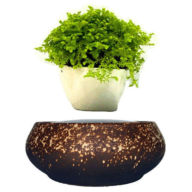 Supernova Base Levitating Air-Floating Bonsai Pot - stilyo