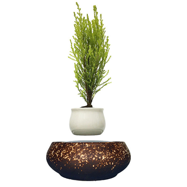 Supernova Base Levitating Air-Floating Bonsai Pot - stilyo