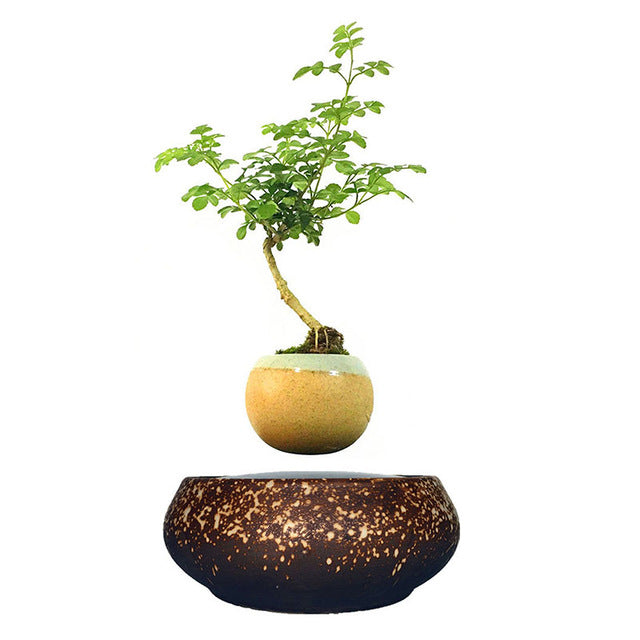 Supernova Base Levitating Air-Floating Bonsai Pot - stilyo