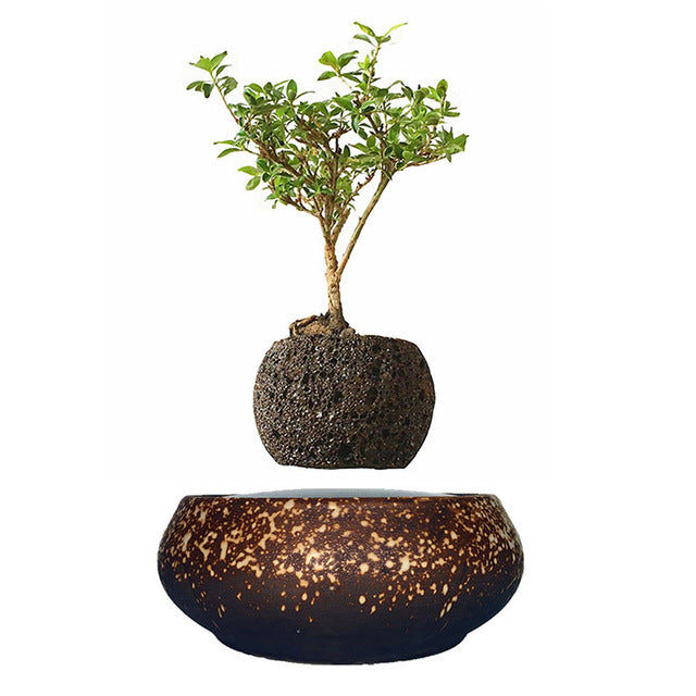 Supernova Base Levitating Air-Floating Bonsai Pot - stilyo