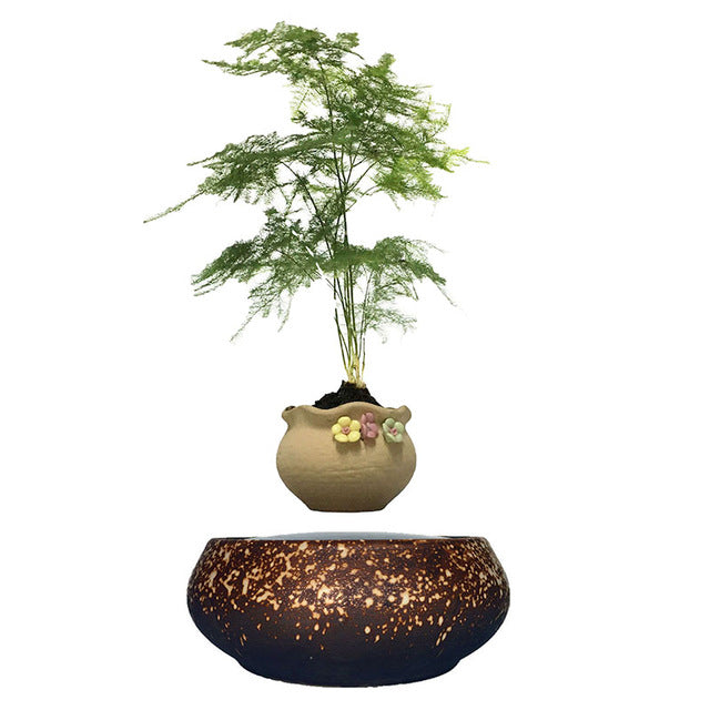 Supernova Base Levitating Air-Floating Bonsai Pot - stilyo