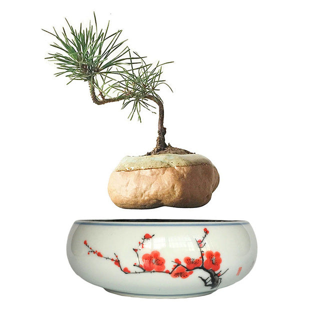 Red Flowers Ceramic Base Levitating Air-Floating Bonsai Pot - stilyo