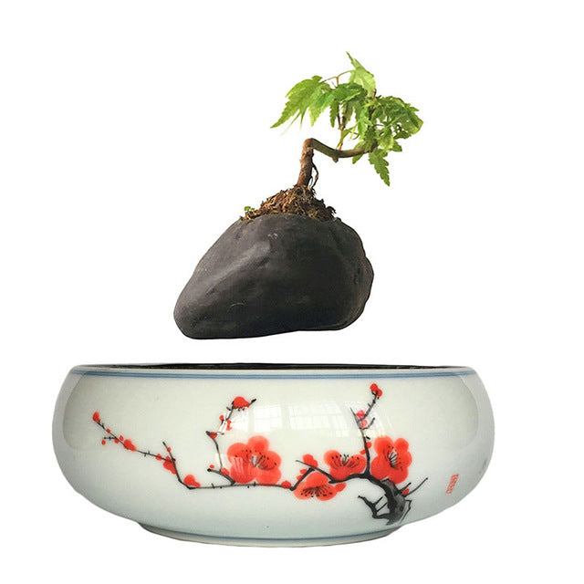 Red Flowers Ceramic Base Levitating Air-Floating Bonsai Pot - stilyo