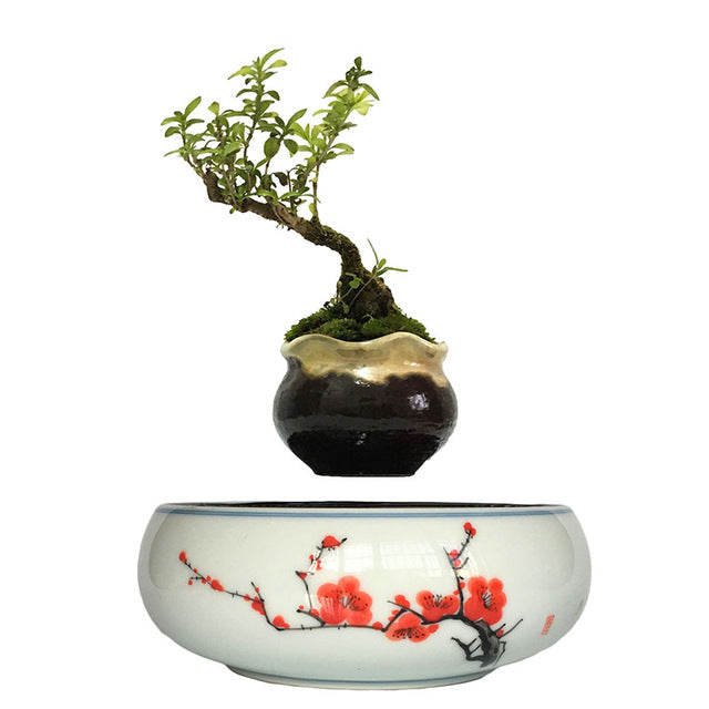 Red Flowers Ceramic Base Levitating Air-Floating Bonsai Pot - stilyo