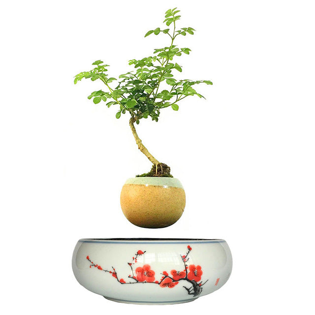 Red Flowers Ceramic Base Levitating Air-Floating Bonsai Pot - stilyo