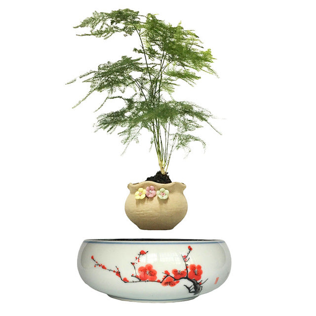 Red Flowers Ceramic Base Levitating Air-Floating Bonsai Pot - stilyo