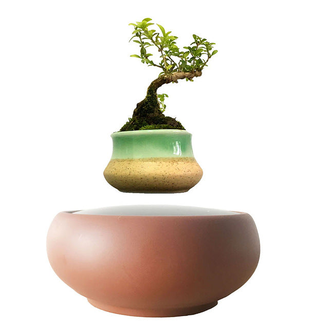 Desert Sand Base Levitating Air-Floating Bonsai Pot - stilyo