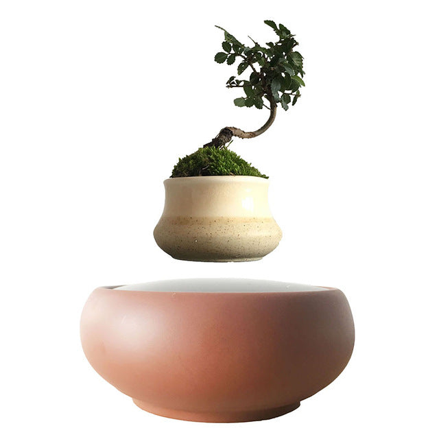 Desert Sand Base Levitating Air-Floating Bonsai Pot - stilyo