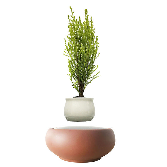 Desert Sand Base Levitating Air-Floating Bonsai Pot - stilyo