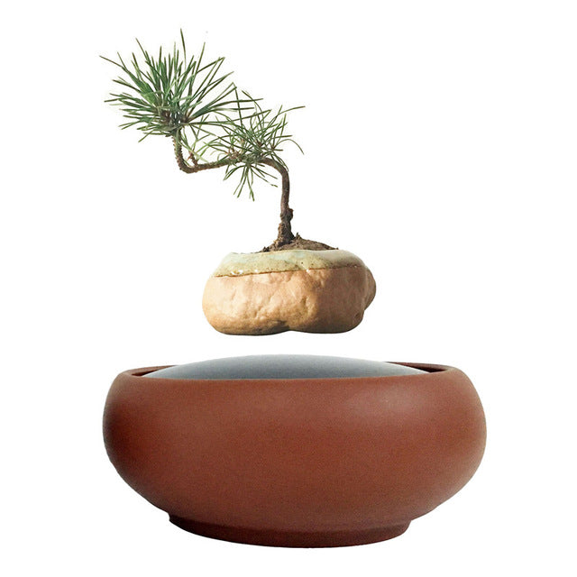 Desert Sand Base Levitating Air-Floating Bonsai Pot - stilyo