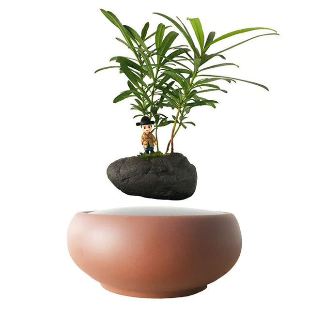 Desert Sand Base Levitating Air-Floating Bonsai Pot - stilyo