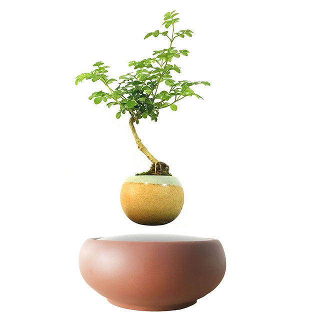 Desert Sand Base Levitating Air-Floating Bonsai Pot - stilyo