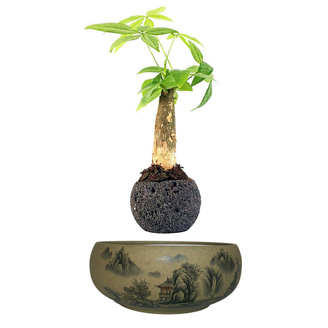 Japanese Village Base Levitating Air-Floating Bonsai Pot - stilyo