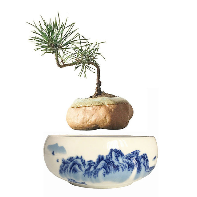 Blue Ocean Base Levitating Air-Floating Bonsai Pot - stilyo