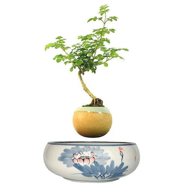 Blue Flowers Ceramic Base Levitating Air-Floating Bonsai Pot - stilyo