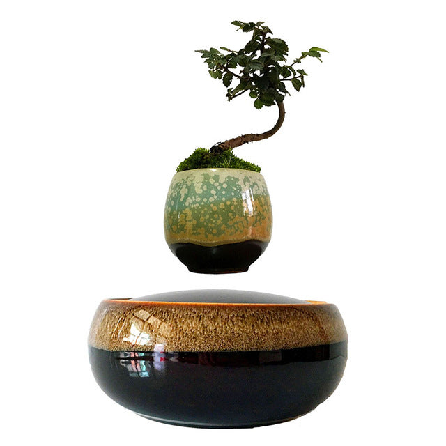 Black Eye Base Levitating Air-Floating Bonsai Pot - stilyo
