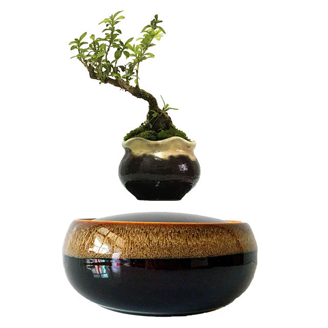 Black Eye Base Levitating Air-Floating Bonsai Pot - stilyo