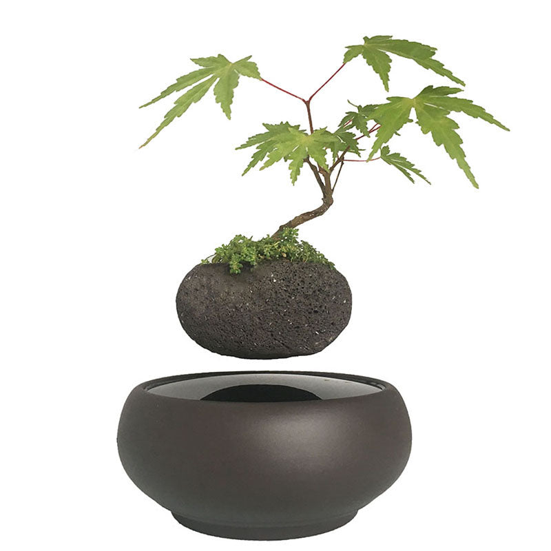 Blackout Base Levitating Air-Floating Bonsai Pot - stilyo