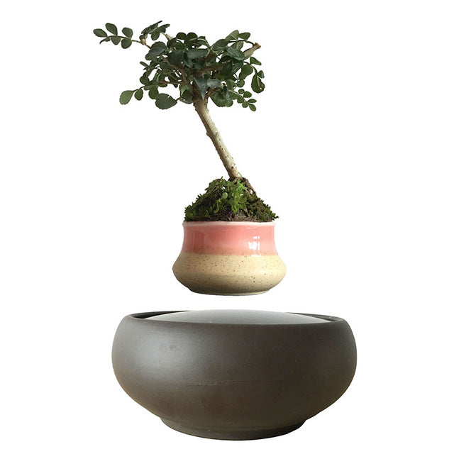 Blackout Base Levitating Air-Floating Bonsai Pot - stilyo