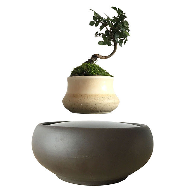 Blackout Base Levitating Air-Floating Bonsai Pot - stilyo