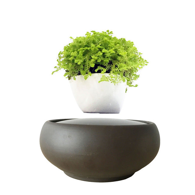 Blackout Base Levitating Air-Floating Bonsai Pot - stilyo