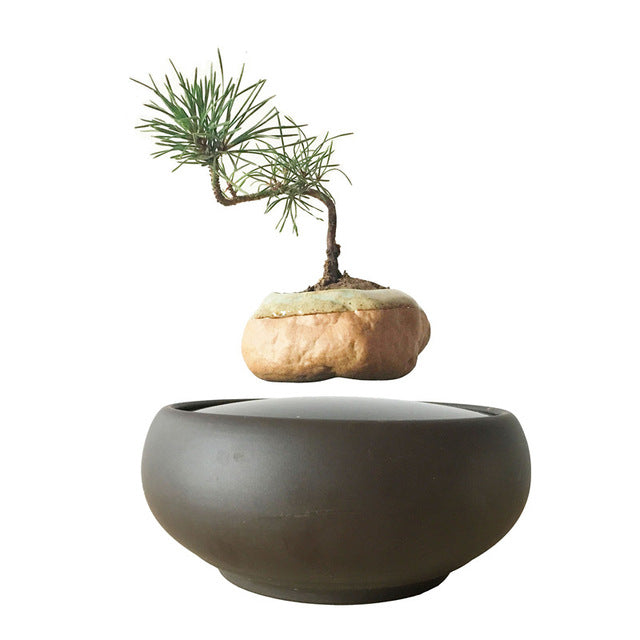 Blackout Base Levitating Air-Floating Bonsai Pot - stilyo