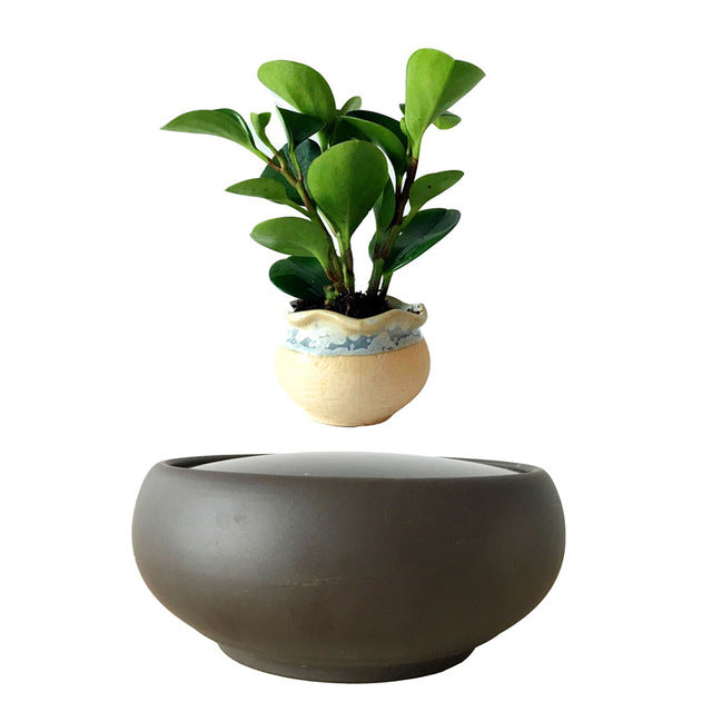 Blackout Base Levitating Air-Floating Bonsai Pot - stilyo