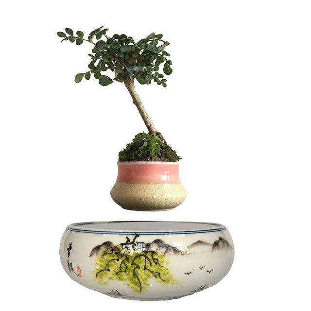 Japanese Landscape Base Levitating Air-Floating Bonsai Pot - stilyo