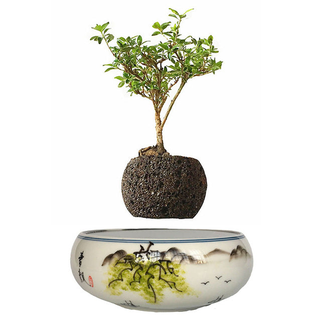 Japanese Landscape Base Levitating Air-Floating Bonsai Pot - stilyo