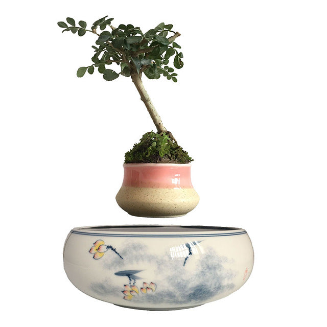 Yellow Flowers Ceramic Base Levitating Air-Floating Bonsai Pot - stilyo