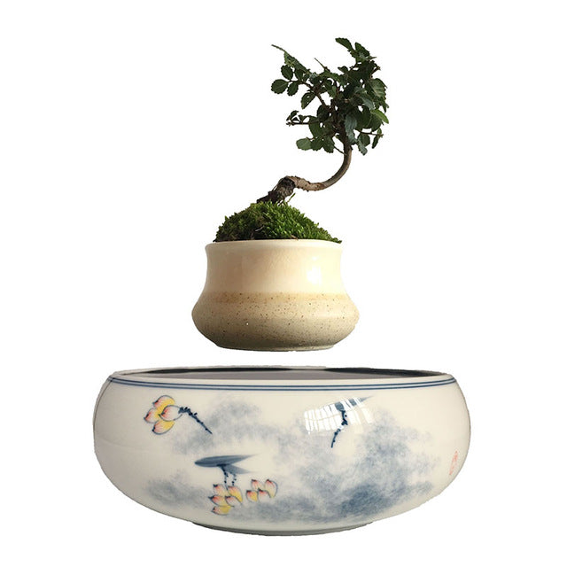 Yellow Flowers Ceramic Base Levitating Air-Floating Bonsai Pot - stilyo