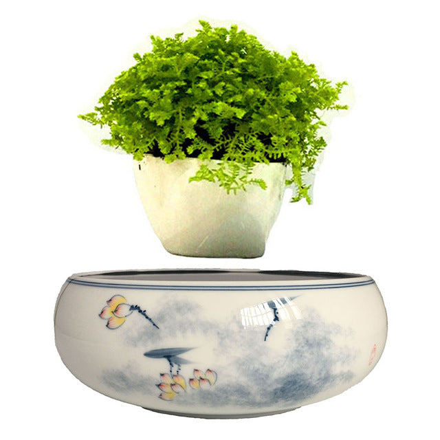 Yellow Flowers Ceramic Base Levitating Air-Floating Bonsai Pot - stilyo