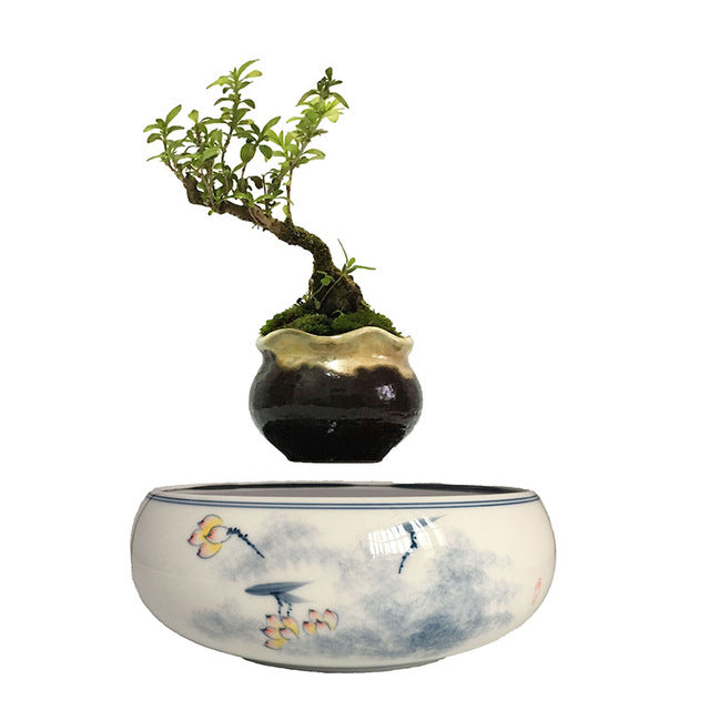 Yellow Flowers Ceramic Base Levitating Air-Floating Bonsai Pot - stilyo