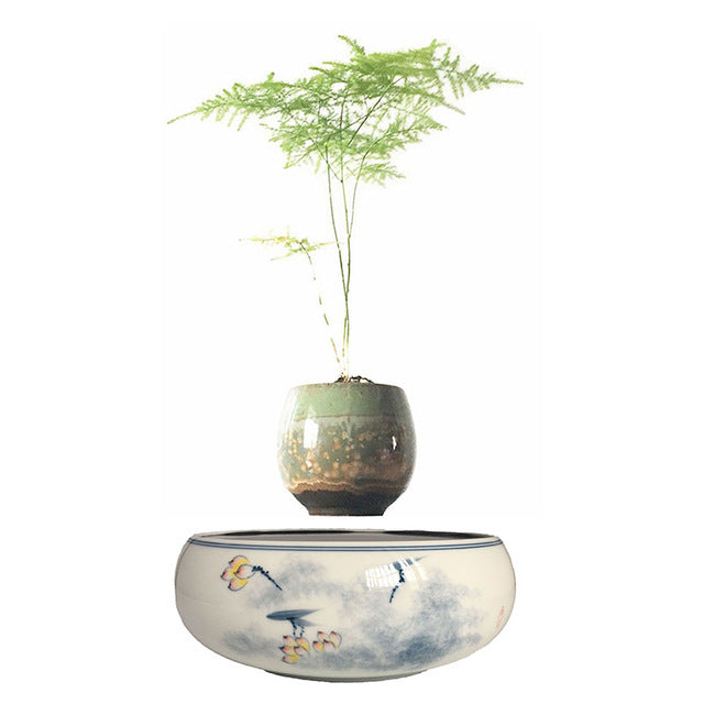 Yellow Flowers Ceramic Base Levitating Air-Floating Bonsai Pot - stilyo