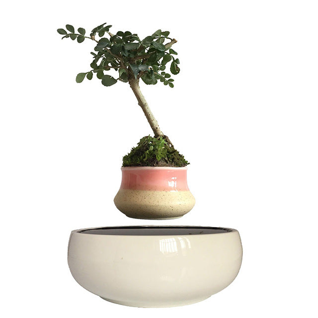 White Ceramic Base Levitating Air-Floating Bonsai Pot - stilyo