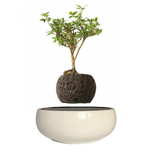 White Ceramic Base Levitating Air-Floating Bonsai Pot - stilyo