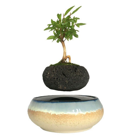 Seaside Base Levitating Air-Floating Bonsai Pot - stilyo