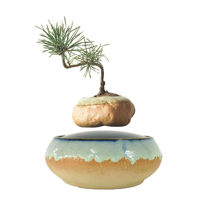 Seaside Base Levitating Air-Floating Bonsai Pot - stilyo