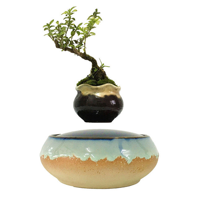 Seaside Base Levitating Air-Floating Bonsai Pot - stilyo