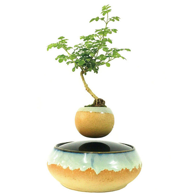 Seaside Base Levitating Air-Floating Bonsai Pot - stilyo