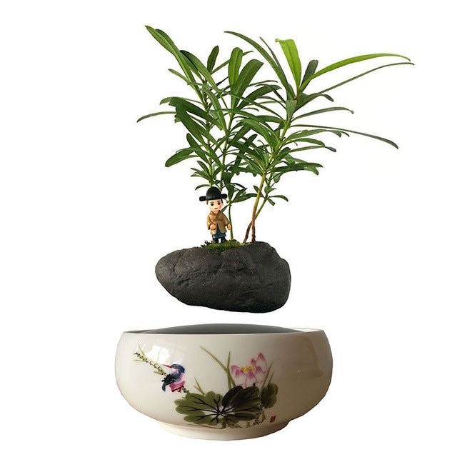 Song Bird White Ceramic Base Levitating Air-Floating Bonsai Pot - stilyo