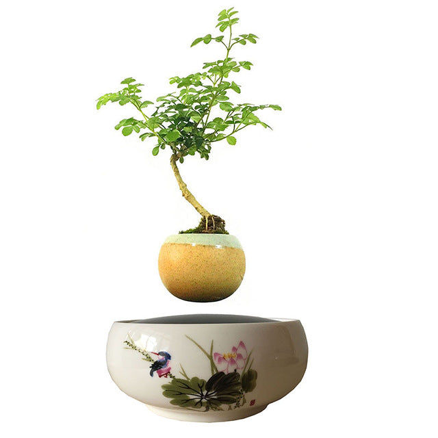 Song Bird White Ceramic Base Levitating Air-Floating Bonsai Pot - stilyo