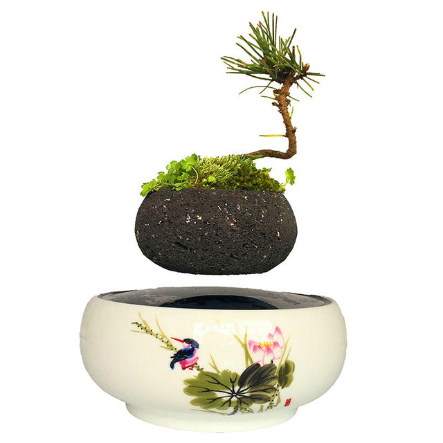 Song Bird White Ceramic Base Levitating Air-Floating Bonsai Pot - stilyo