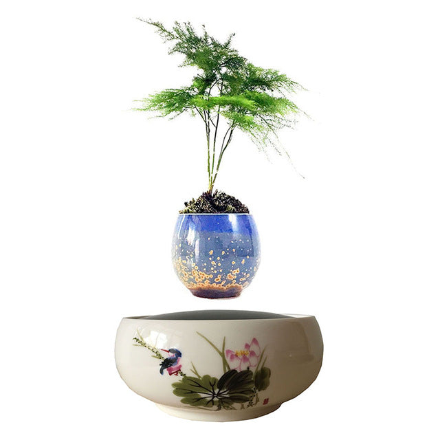 Song Bird White Ceramic Base Levitating Air-Floating Bonsai Pot - stilyo