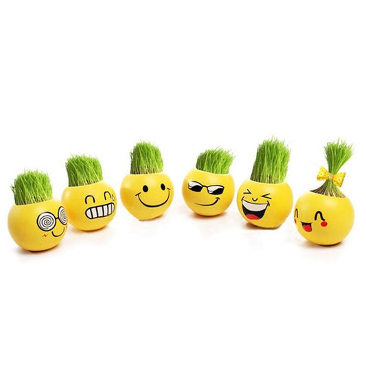 Creative DIY Emoji Grass Head - stilyo