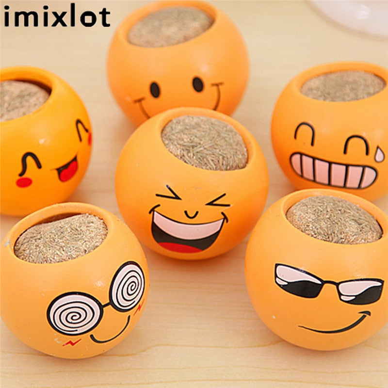 Creative DIY Emoji Grass Head - stilyo